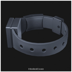GPS Ankle Monitor