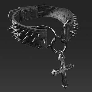 Spiked Collar
